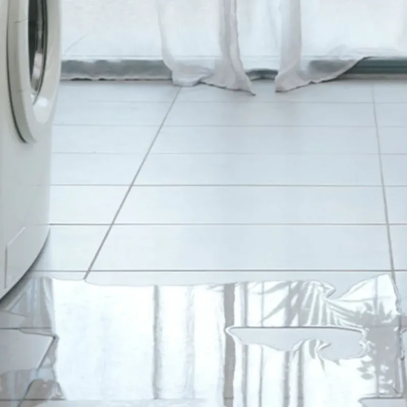 Appliance Leak Cleanup in Ellerbe, NC