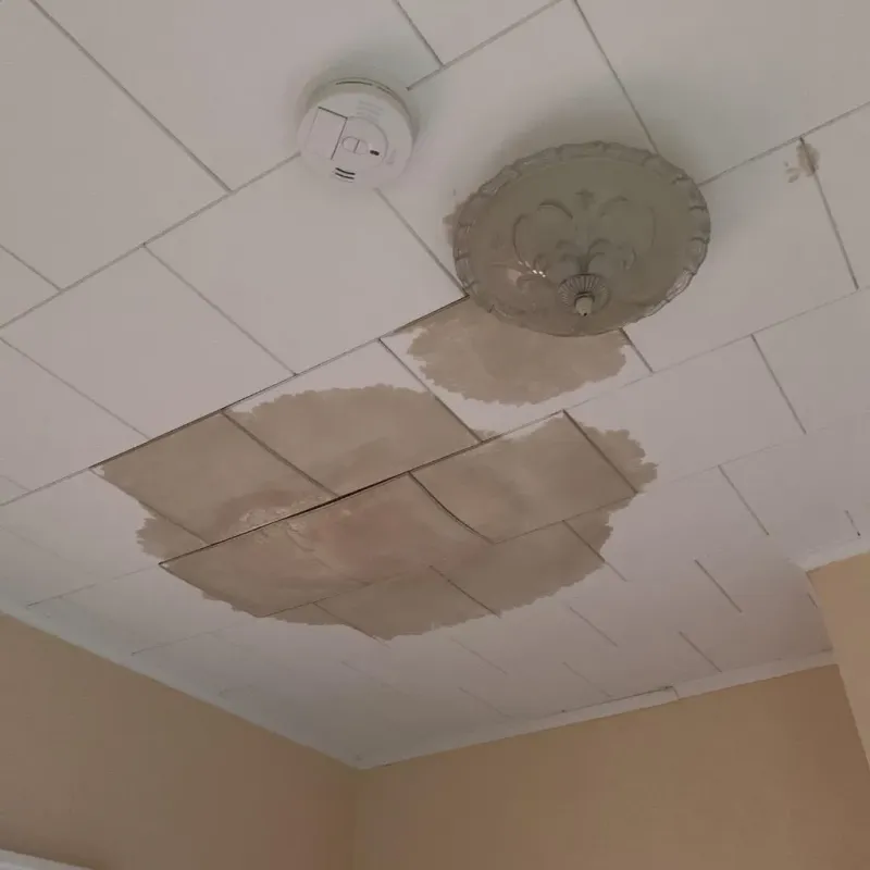 Ceiling Water Damage Repair in Ellerbe, NC