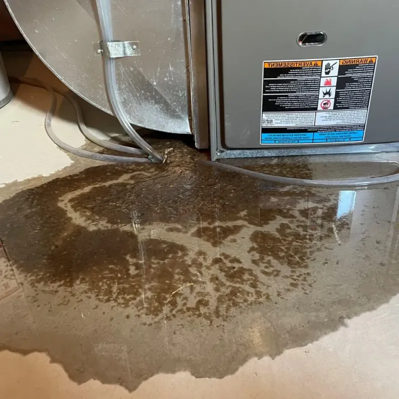 Pipe Burst and Leak Restoration in Ellerbe, NC