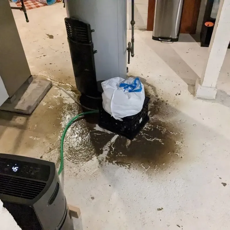 Sewage Backup Cleanup Service in Ellerbe, NC